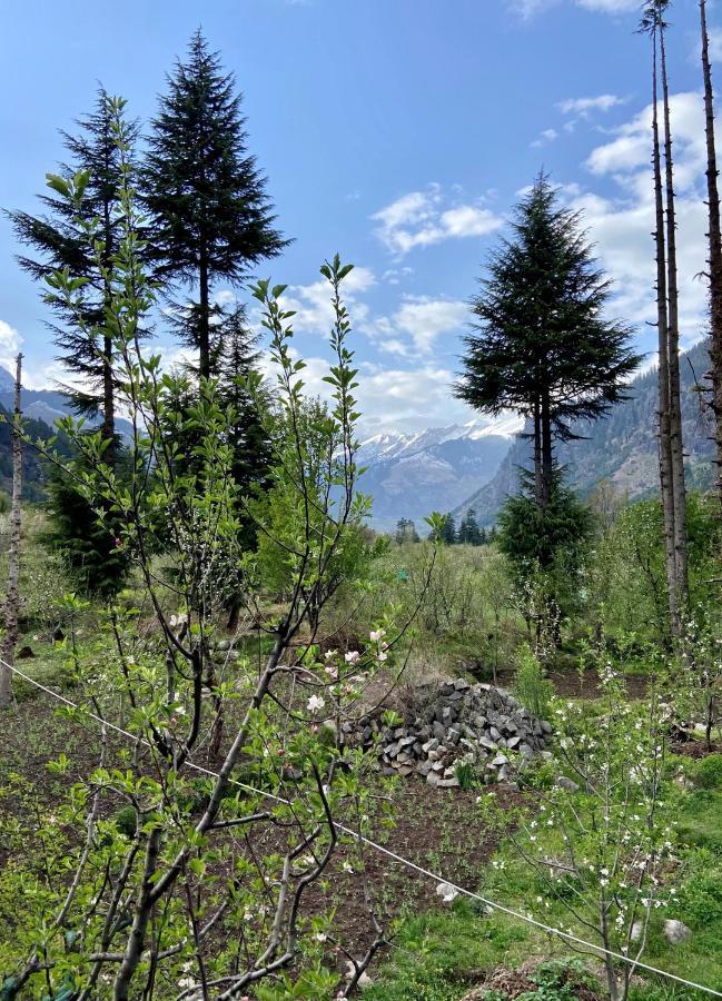 Getaway Stays Manali Buitenkant foto